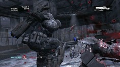 Gears of War 2_Pack Snowblind