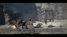 Dragon's Dogma_Progression #2 (FR)