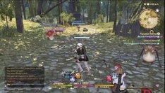 Final Fantasy XIV: A Realm Reborn_1st fights