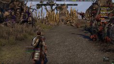 The Elder Scrolls Online_Environnements