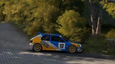 DiRT Rally_Replay cams