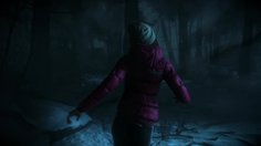 Until Dawn_The tragedy