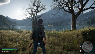 Days Gone_Landscapes #2 (4K)