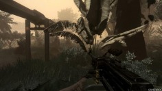 Far Cry 2_Sunrise